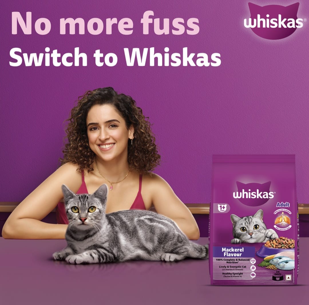 Whiskas Mackerel Flavour Adult Cat Dry Food