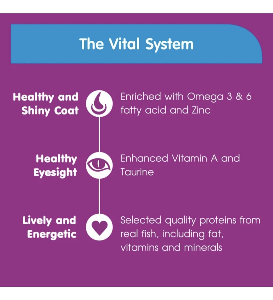 Whiskas Hairball Control Adult Cat Dry Food Active