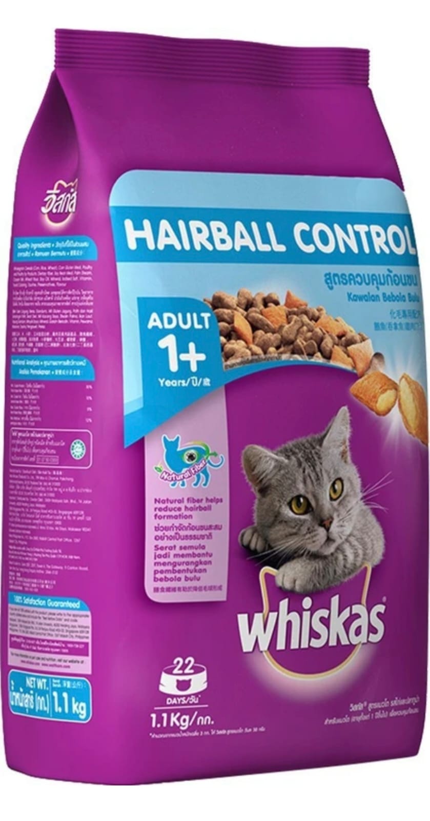 Whiskas Hairball Control Adult Cat Dry Food Active