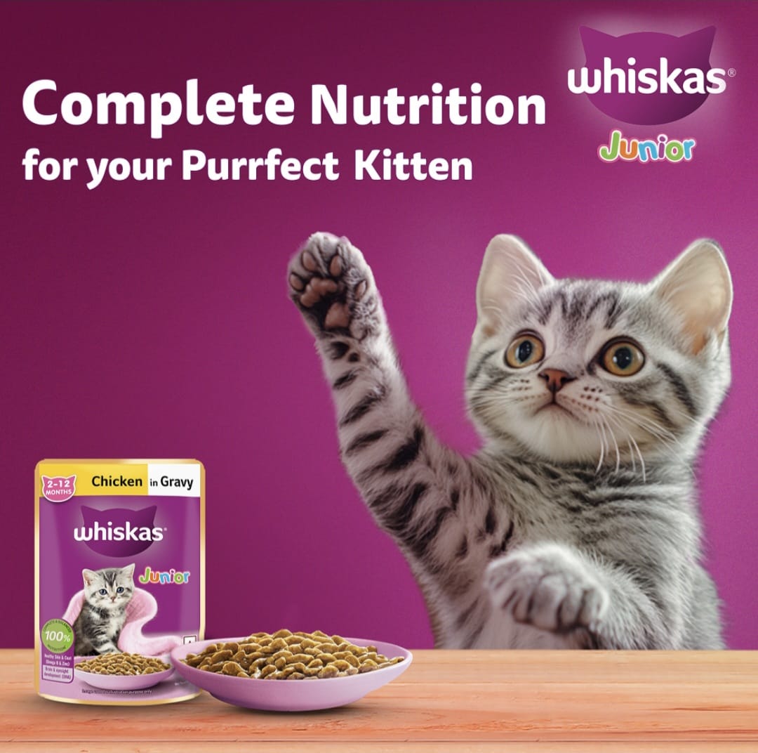 Whiskas Chicken in Gravy for Junior Cat (2-12Months)