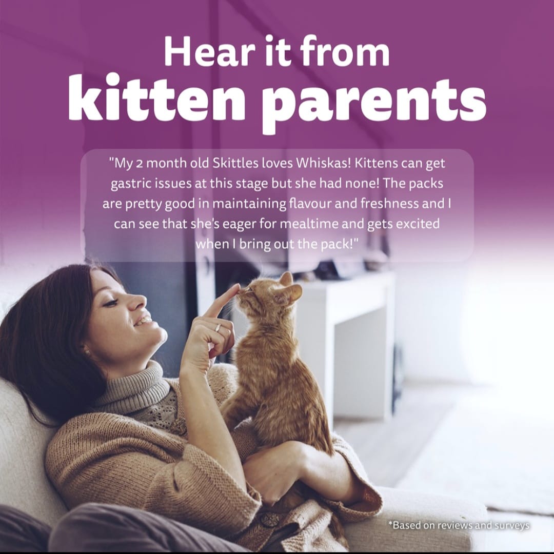 Whiskas Tuna in Jelly for Junior Cat (2-12Months)