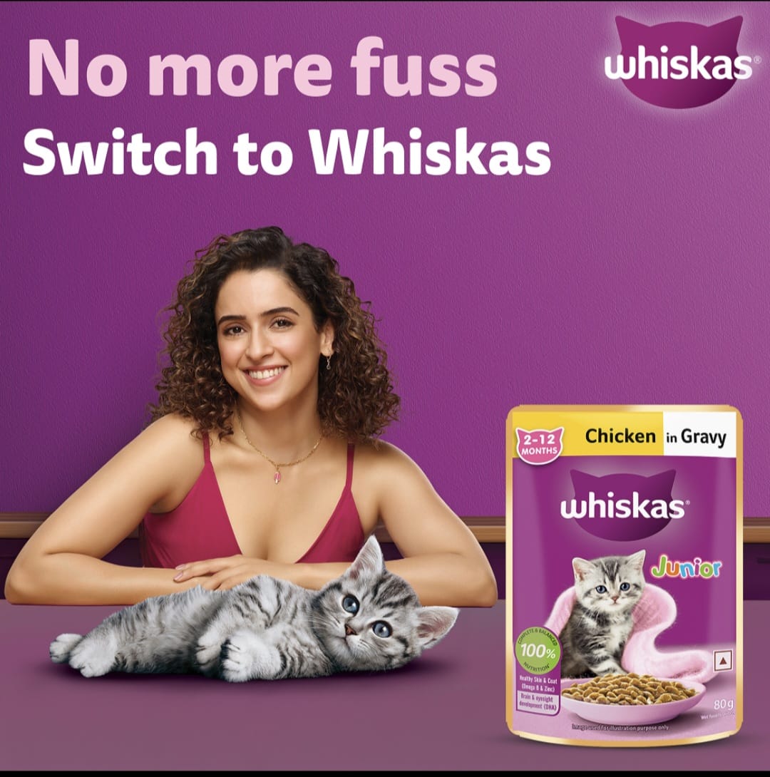 Whiskas Chicken in Gravy for Junior Cat (2-12Months)