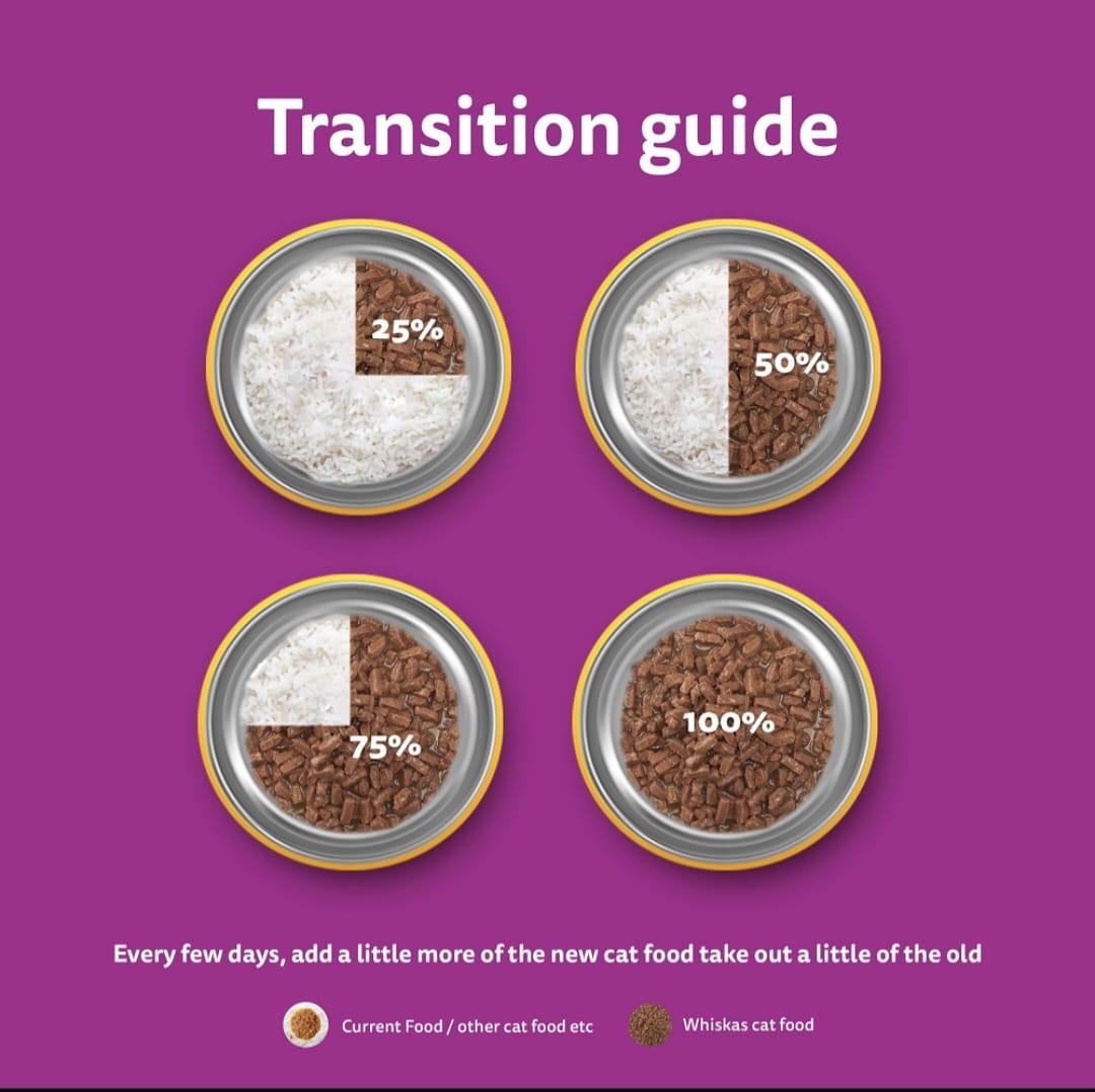 Whiskas Tuna in Jelly for Junior Cat (2-12Months)