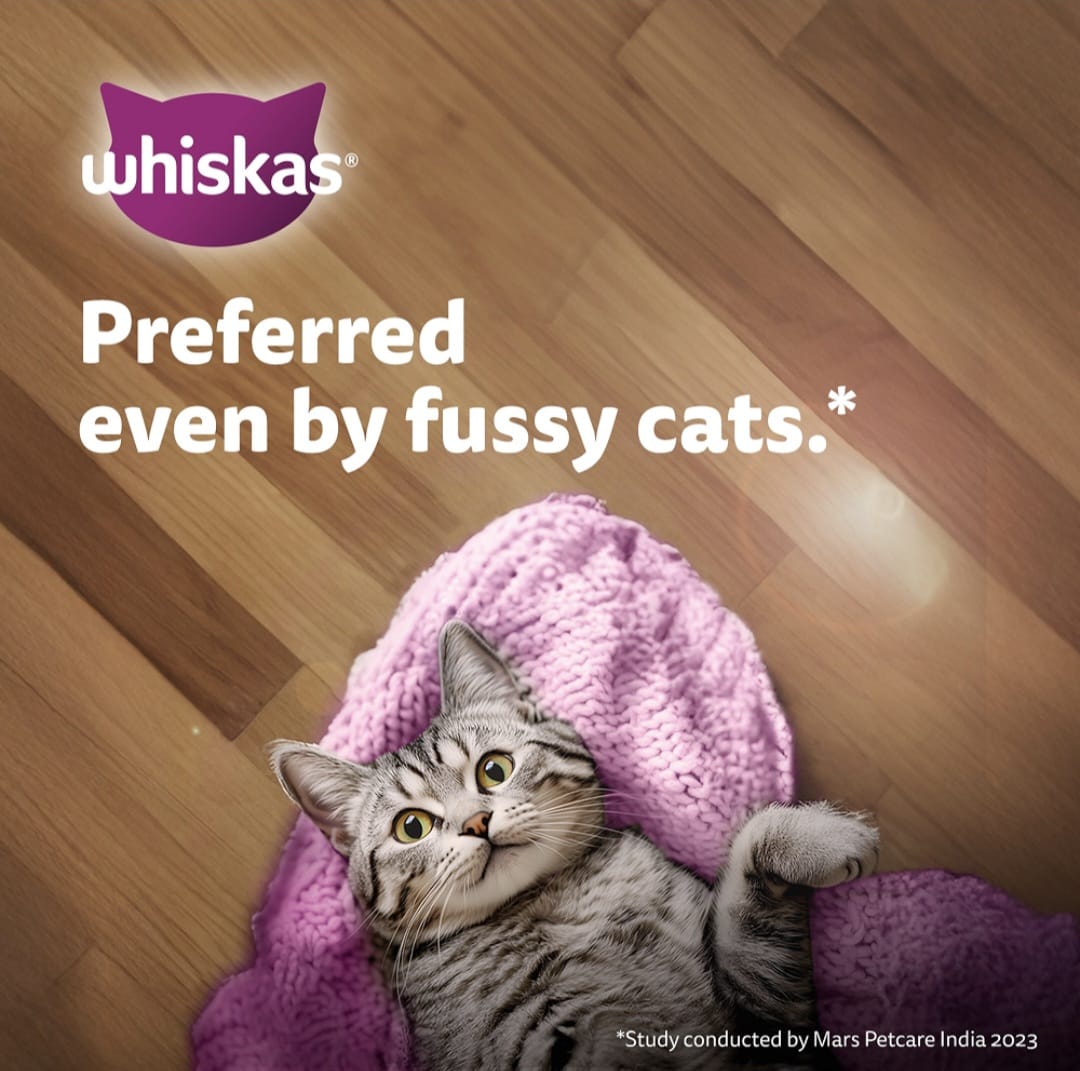 Whiskas Tuna in Jelly for Junior Cat (2-12Months)