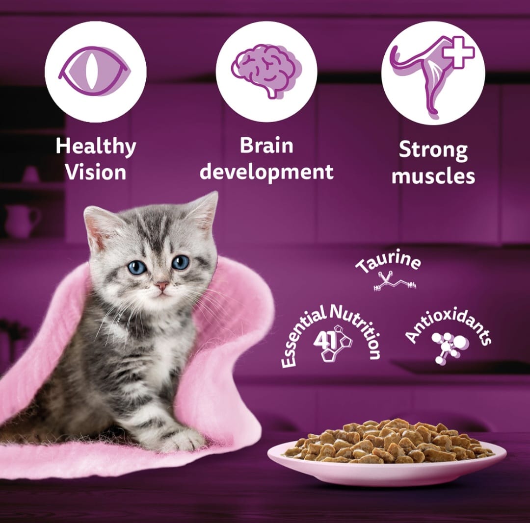 Whiskas Tuna in Jelly for Junior Cat (2-12Months)