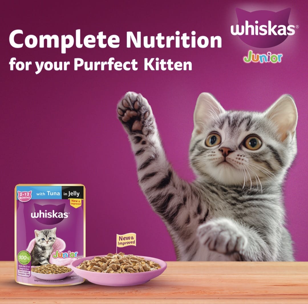 Whiskas Tuna in Jelly for Junior Cat (2-12Months)