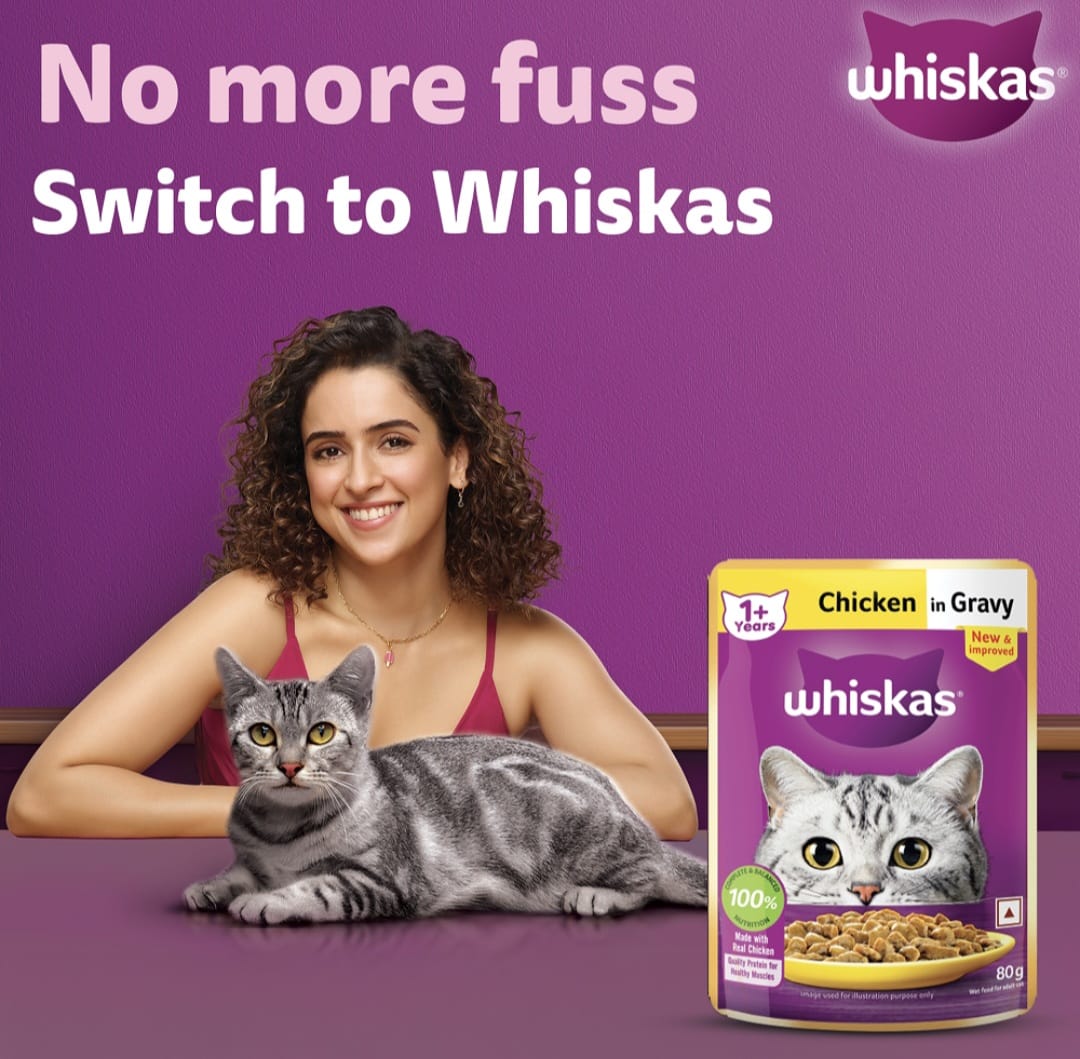 Whiskas Chicken in Gravy for Adult Cat (1+ Years)