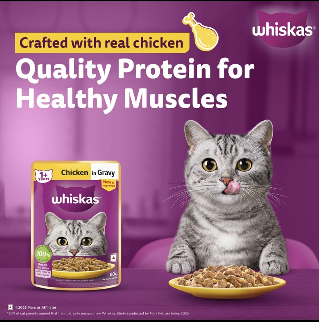 Whiskas Chicken in Gravy for Adult Cat (1+ Years)