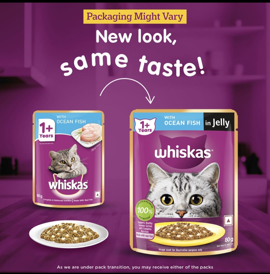Whiskas Ocean Fish in Jelly for Adult Cat (1+ Years)