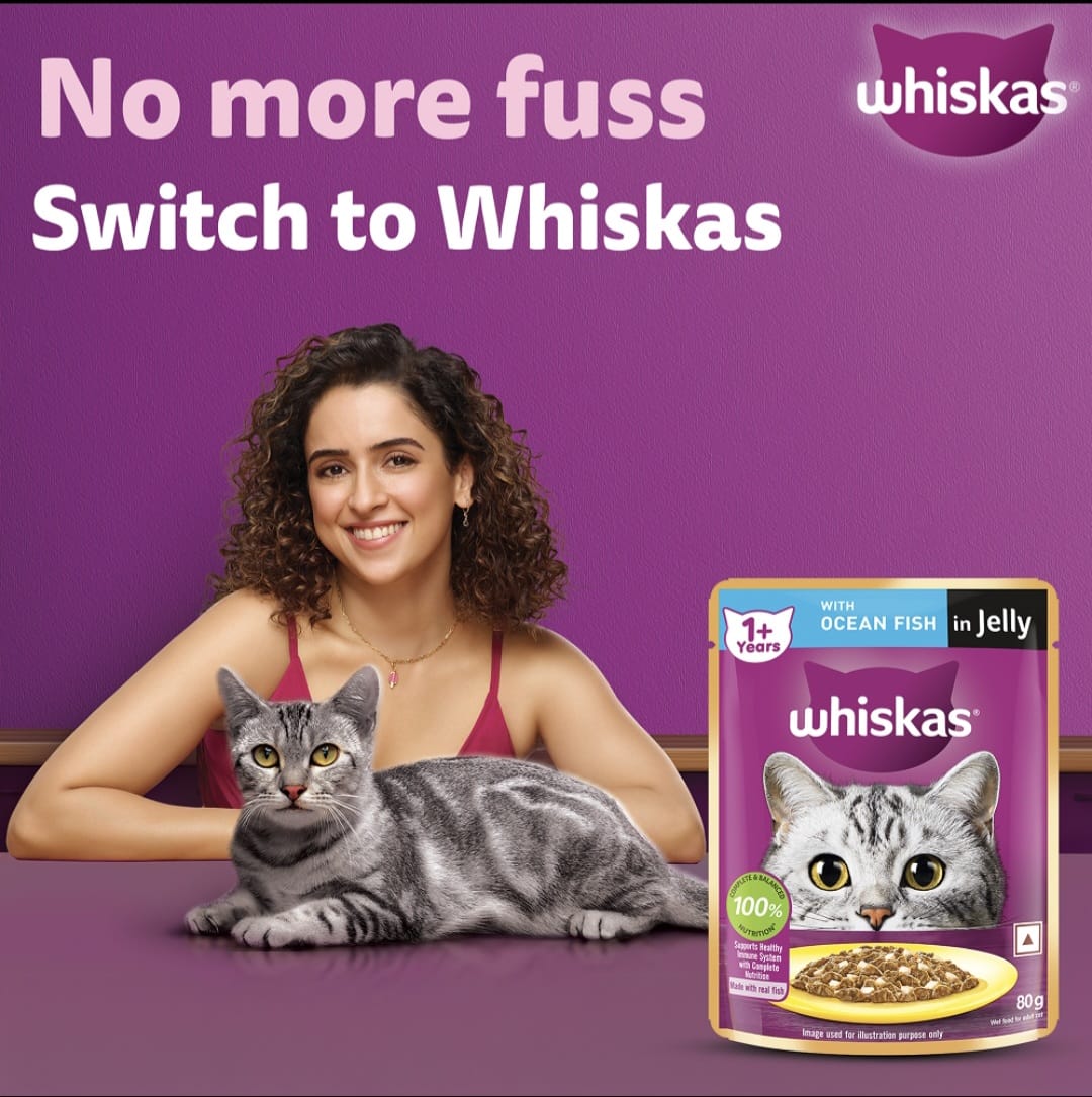 Whiskas Ocean Fish in Jelly for Adult Cat (1+ Years)