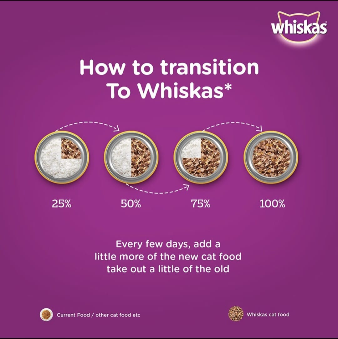 Whiskas Salmon in Gravy for Adult Cat (1+ Years)