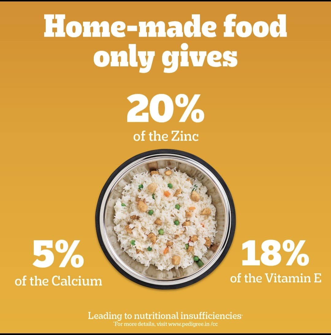 Pedigree Meat & Rice Adult Dog Dry Food