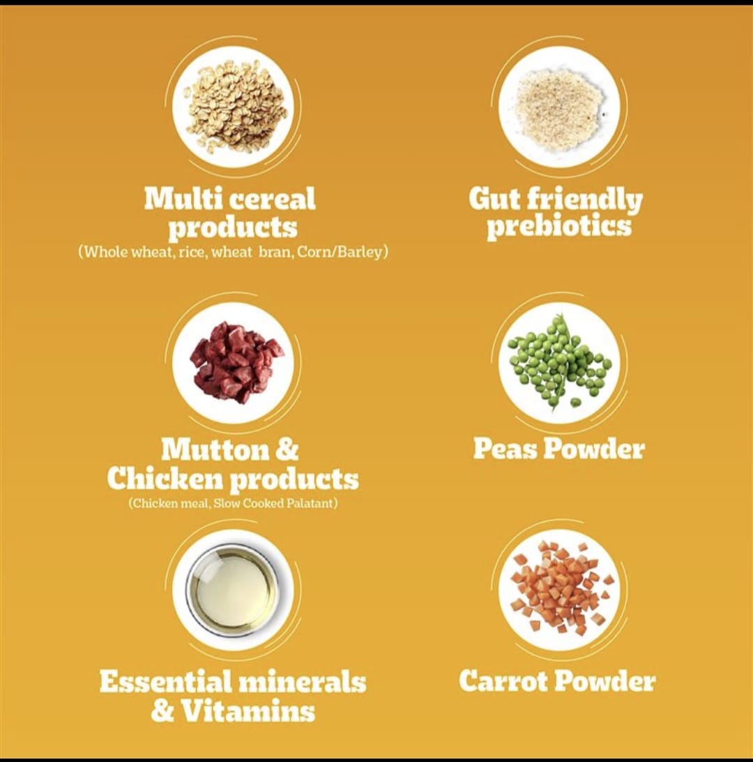 Pedigree Meat & Rice Adult Dog Dry Food