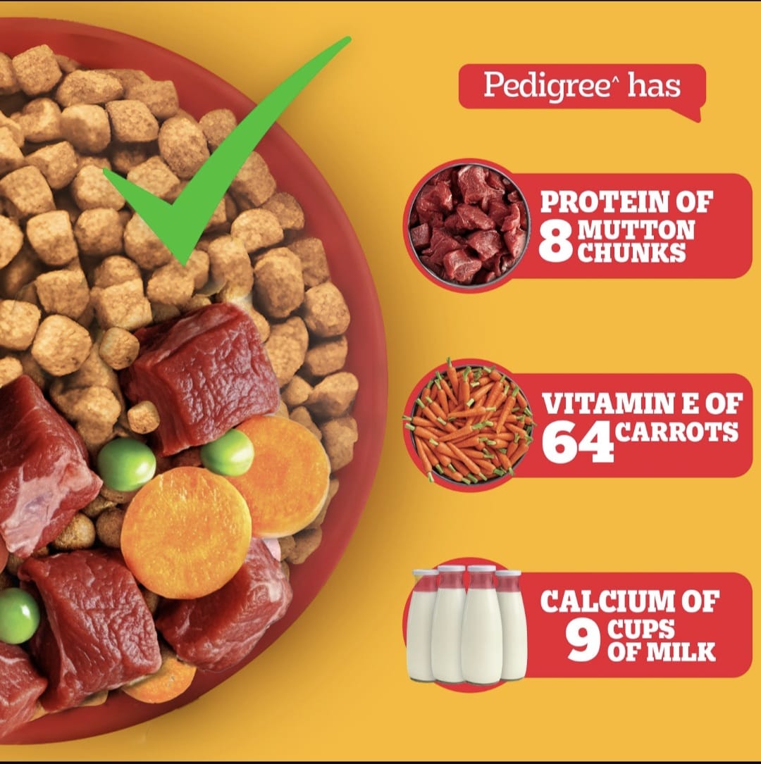 Pedigree Meat & Rice Adult Dog Dry Food