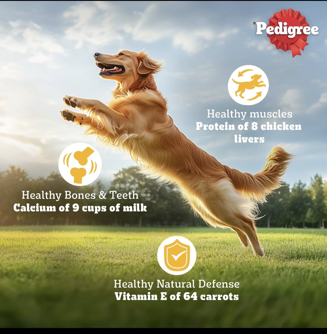 Pedigree Meat & Rice Adult Dog Dry Food