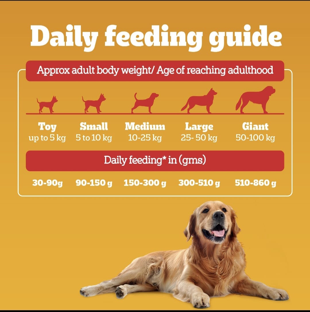Pedigree Meat & Rice Adult Dog Dry Food