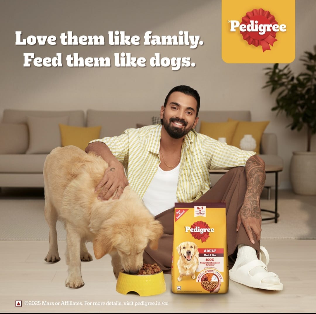 Pedigree Meat & Rice Adult Dog Dry Food