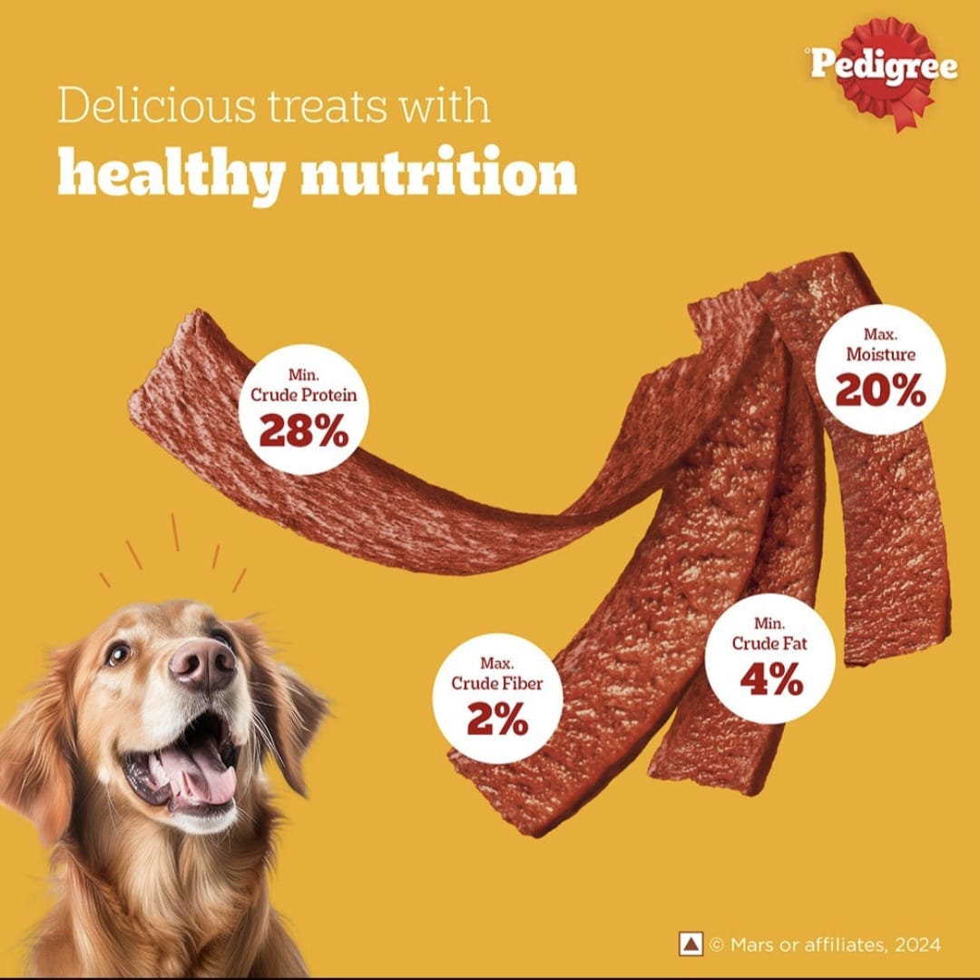 Pedigree Roasted Lamb Flavour Tasty Jerky Dogs Treats