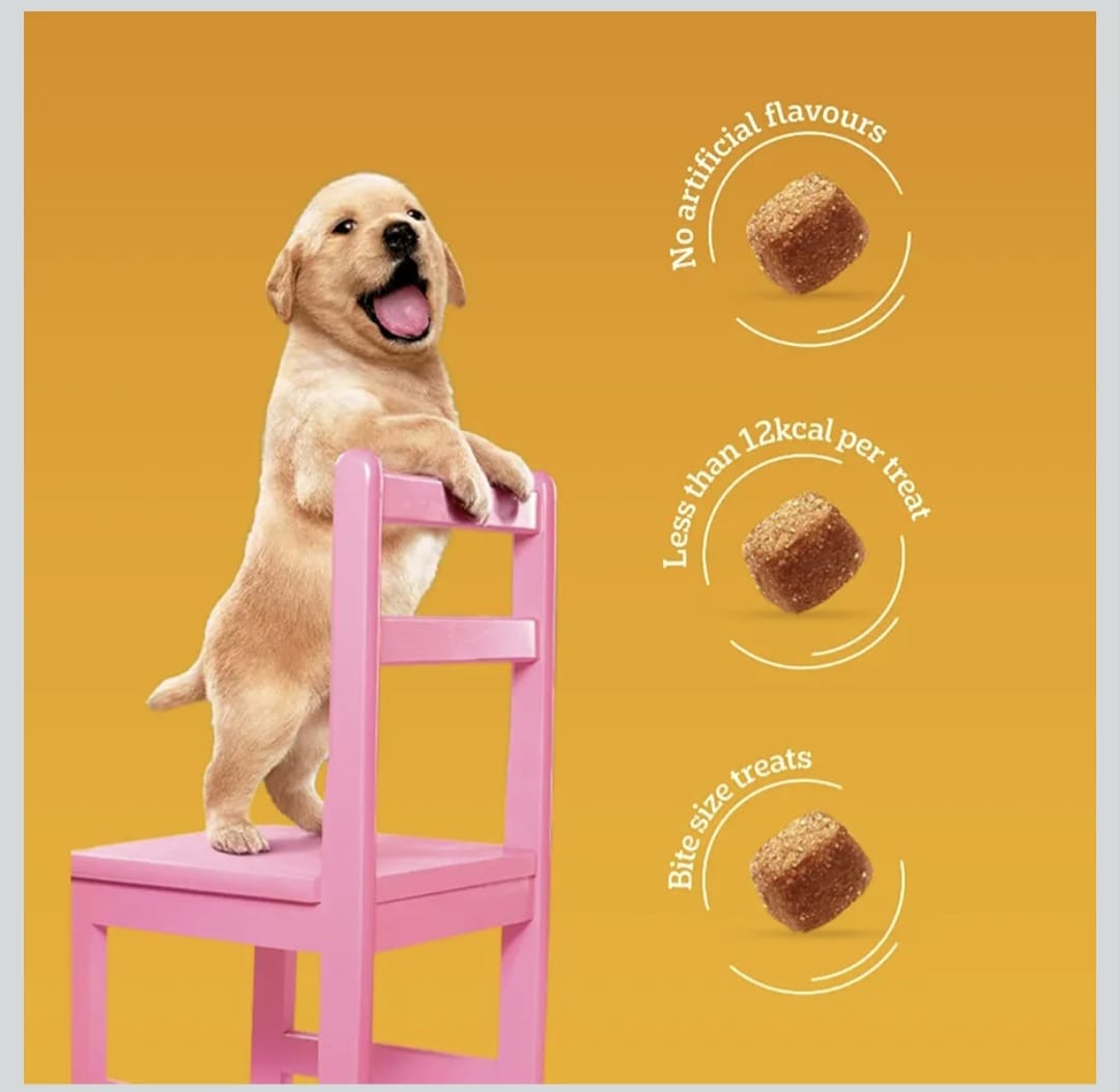 Pedigree Chicken Flavour Tasty Minis Puppy Dog Treats