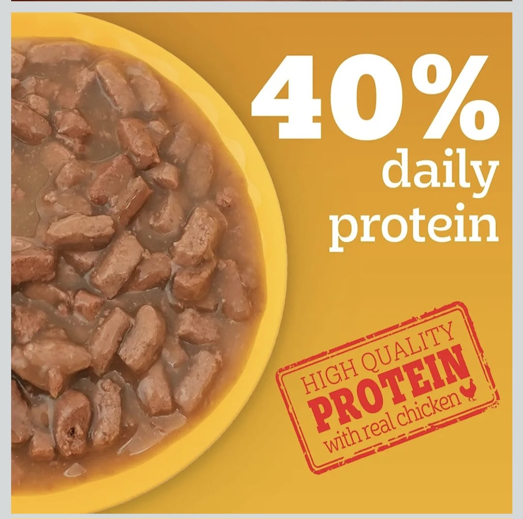 Pedigree Chicken & Liver Chunks in Gravy Wet Food for Adult Dogs