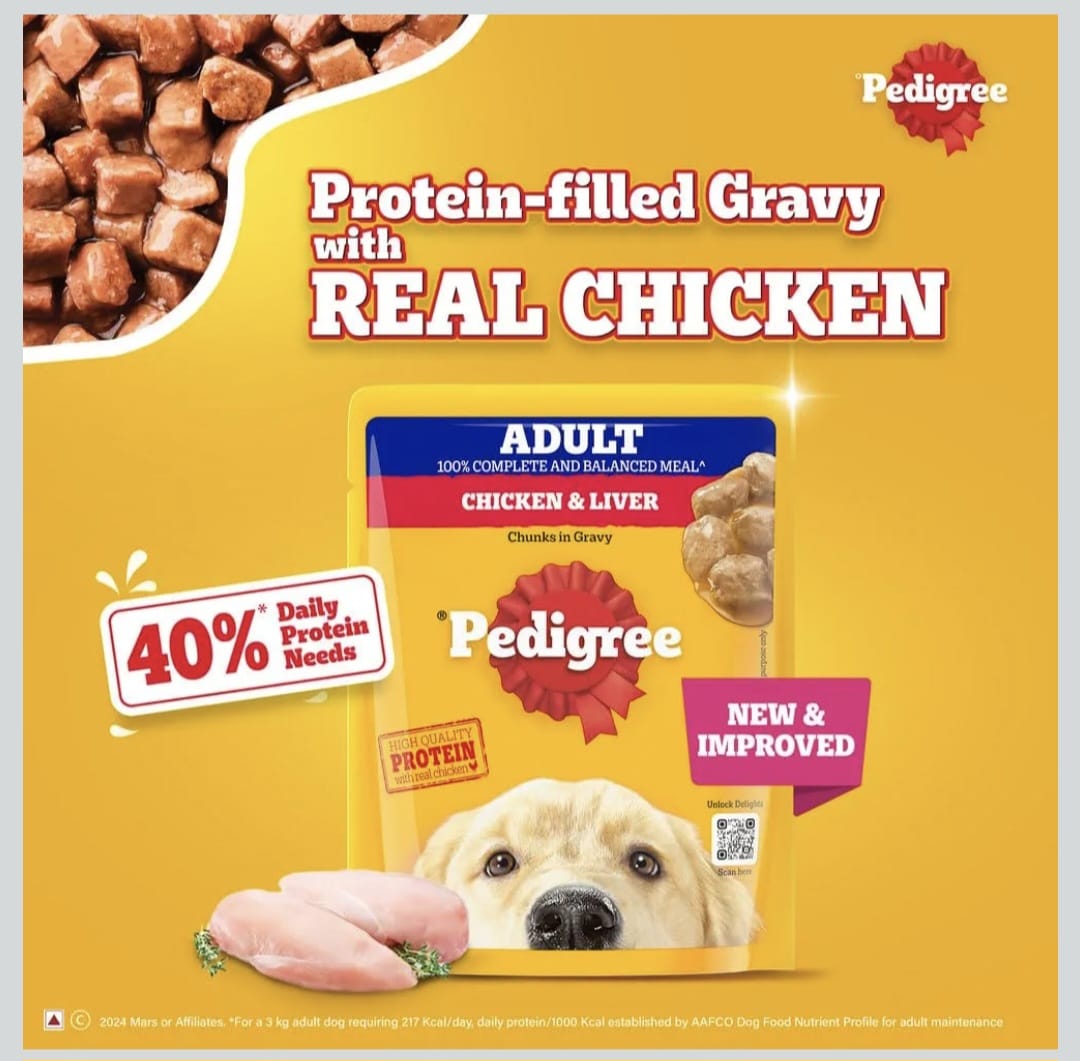 Pedigree Chicken & Liver Chunks in Gravy Wet Food for Adult Dogs
