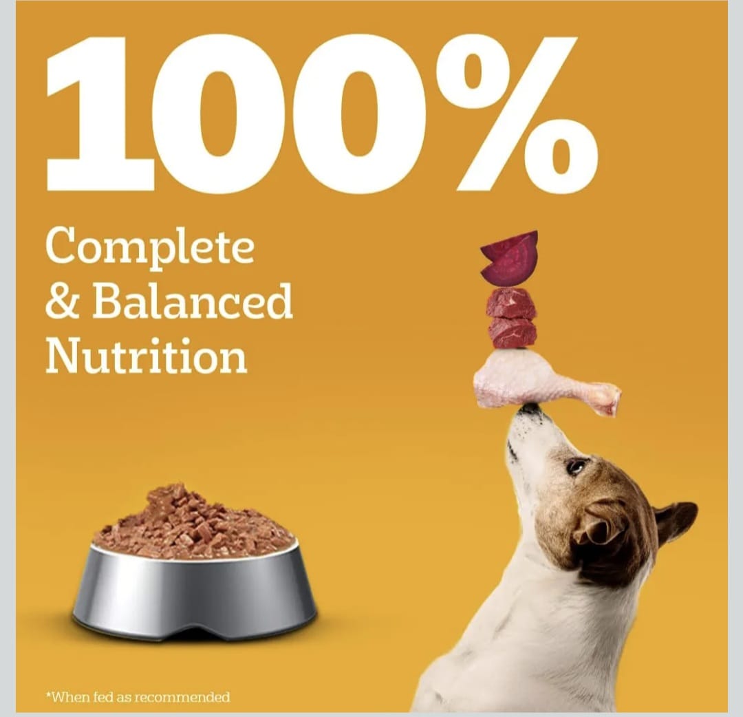 Pedigree Chicken & Liver Chunks in Gravy Wet Food for Adult Dogs