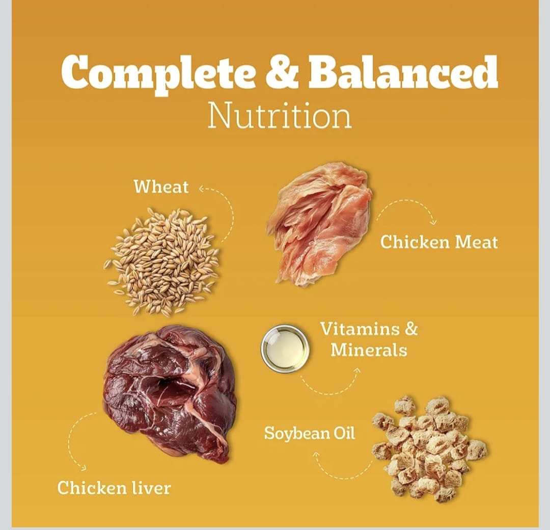 Pedigree Chicken & Liver Chunks in Gravy Wet Food for Adult Dogs
