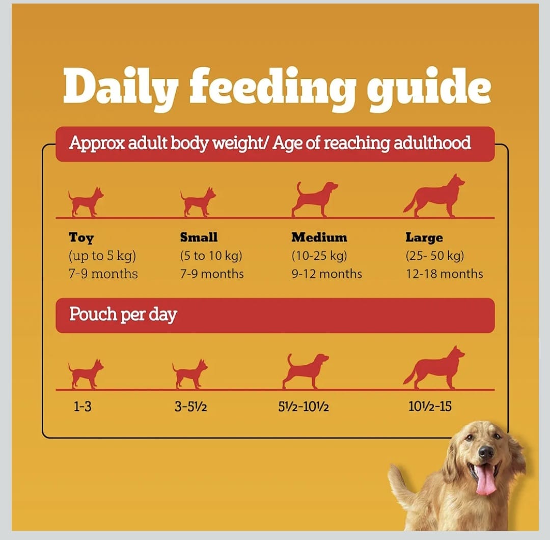 Pedigree Chicken & Liver Chunks in Gravy Wet Food for Adult Dogs