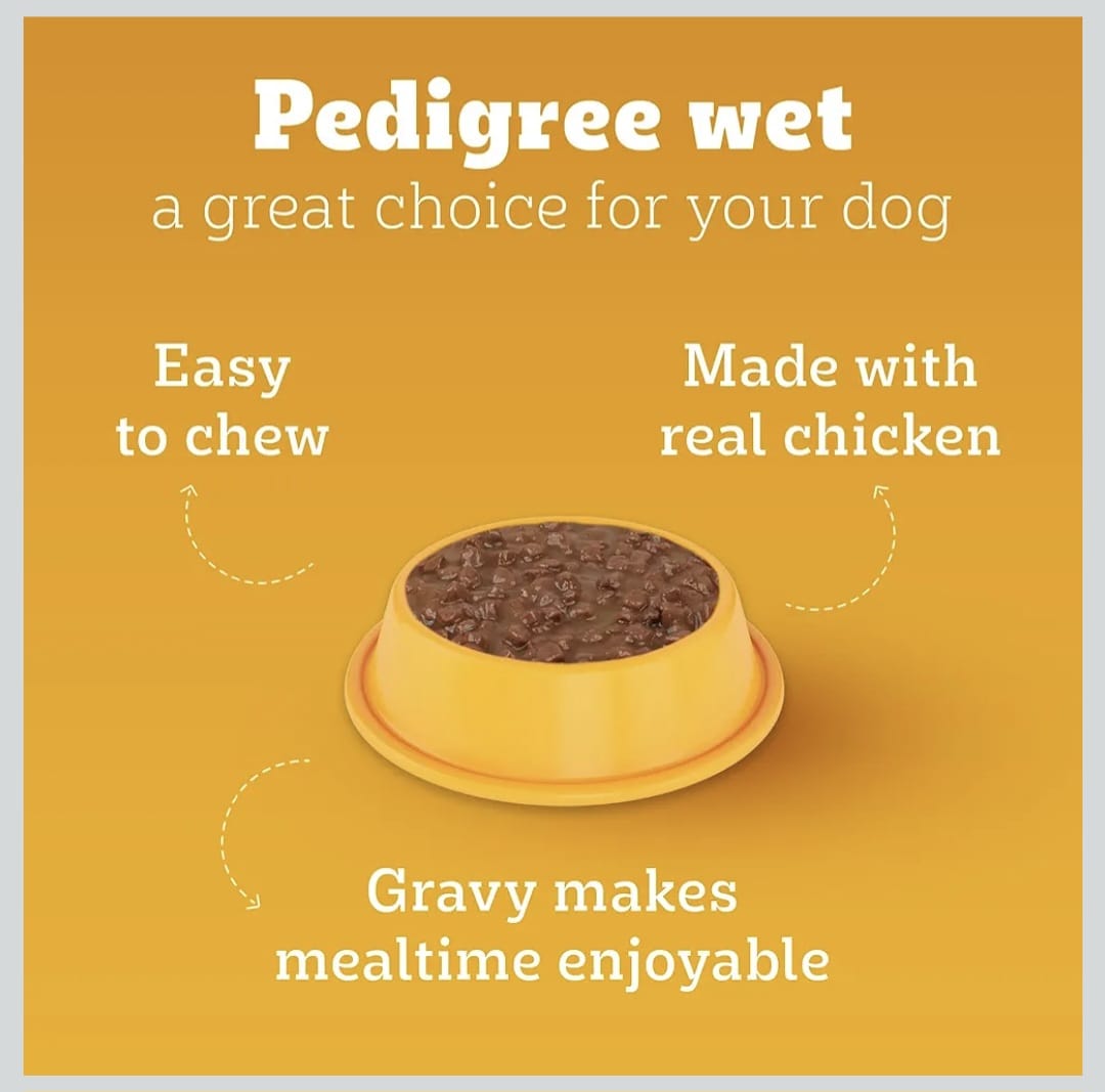 Pedigree Chicken & Liver Chunks in Gravy Wet Food for Adult Dogs