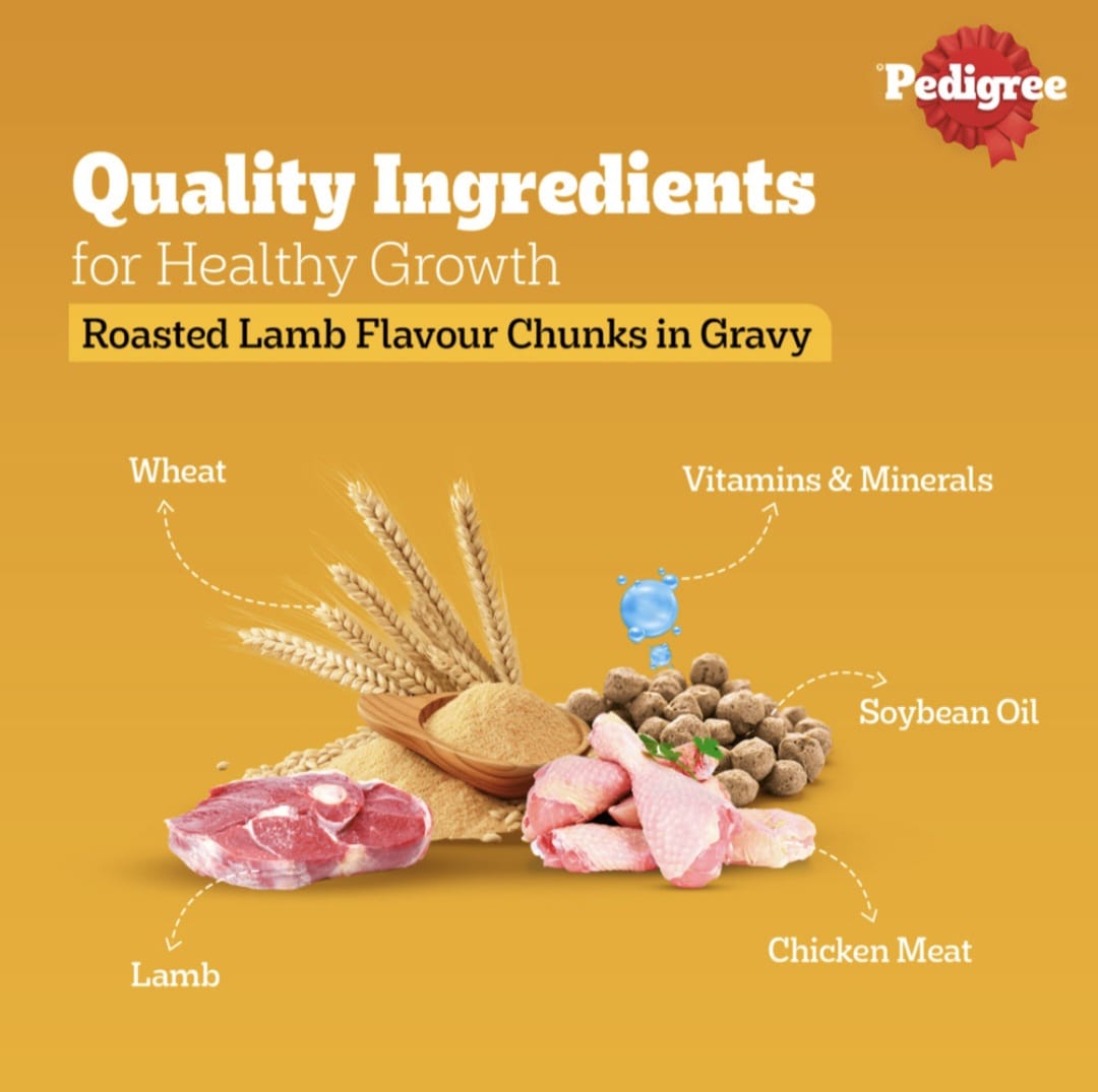 Pedigree Roasted Lamb Flavour Chunks in Gravy Wet Food for Adult Dogs