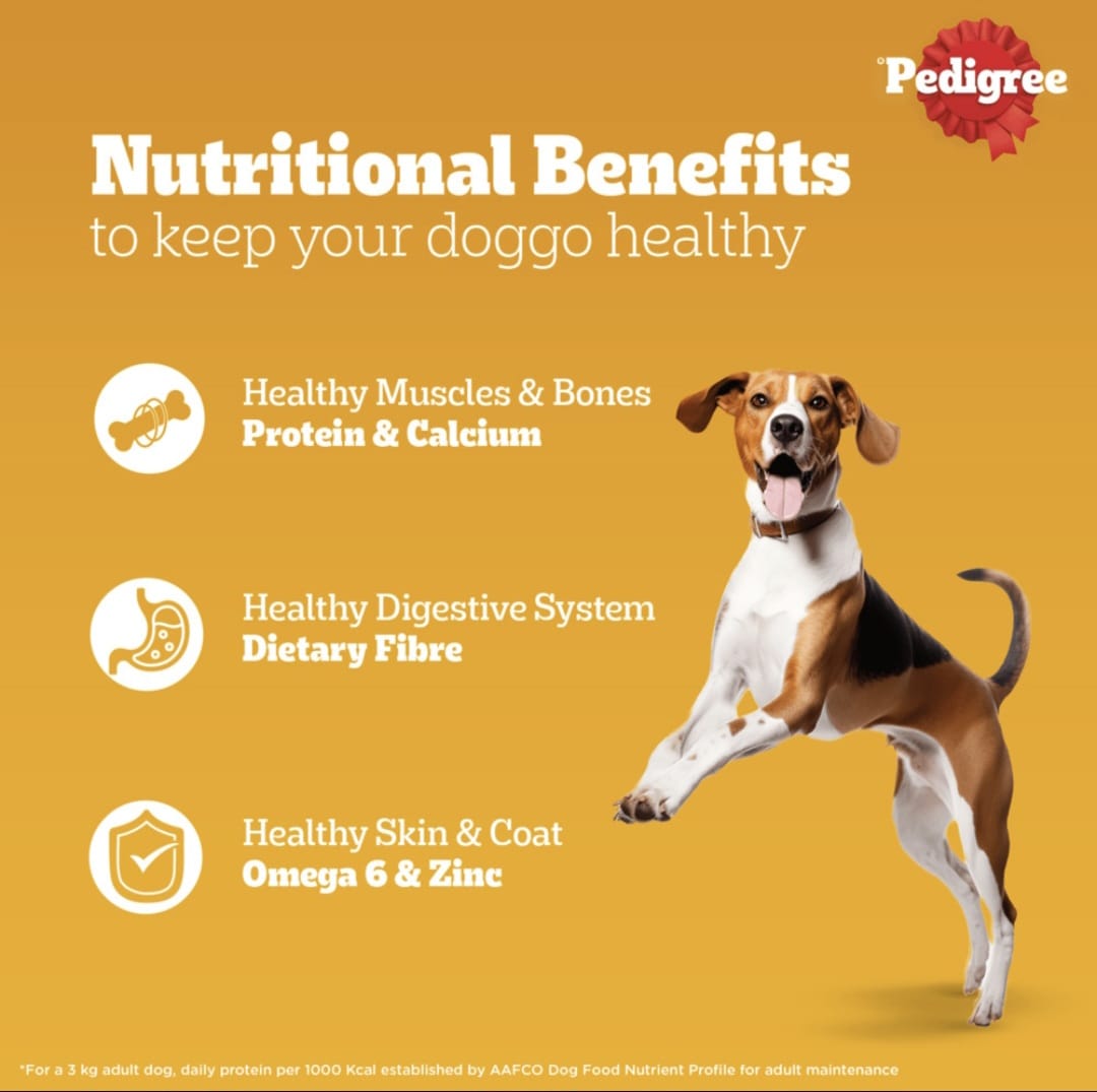 Pedigree Roasted Lamb Flavour Chunks in Gravy Wet Food for Adult Dogs