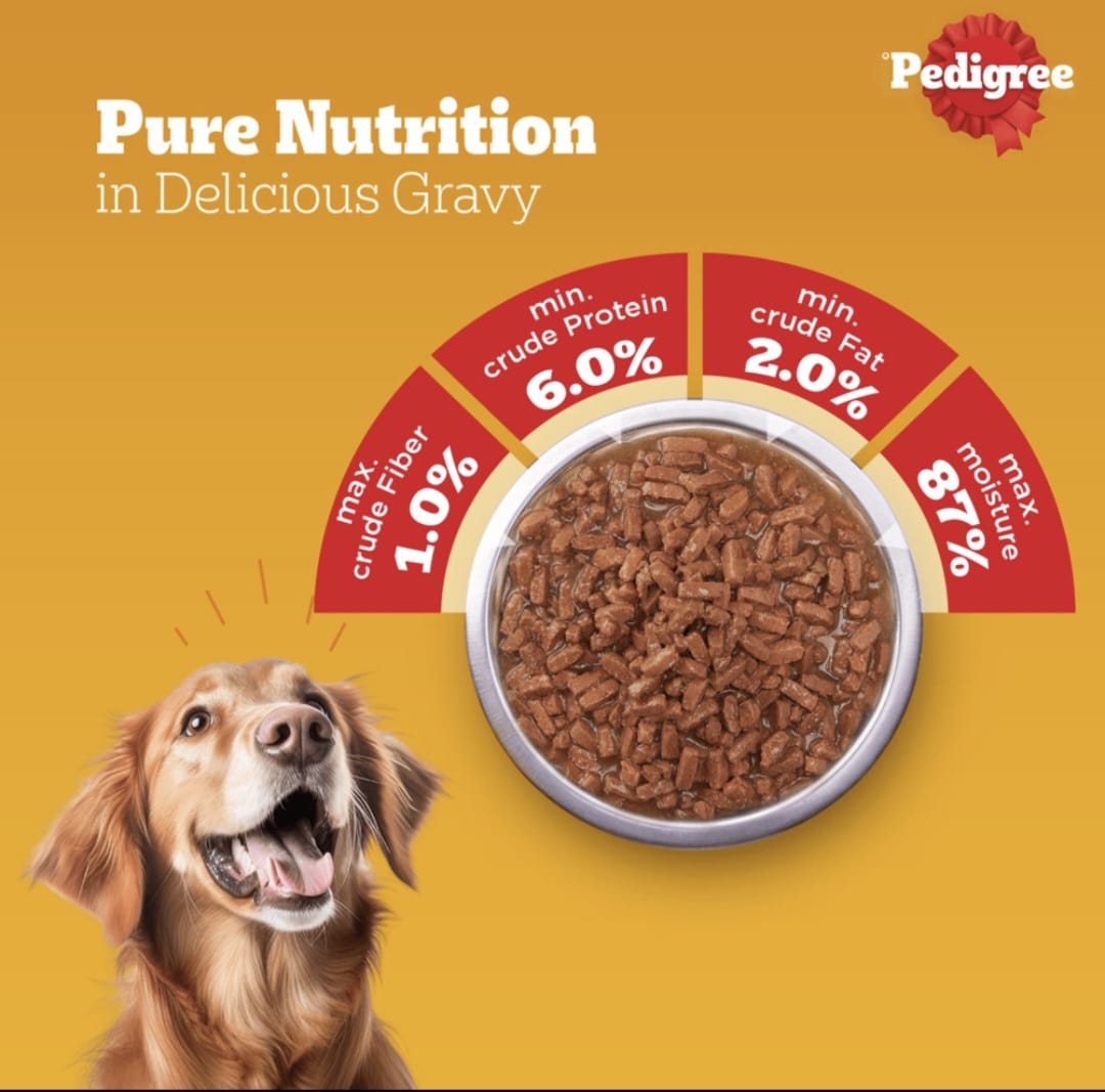Pedigree Roasted Lamb Flavour Chunks in Gravy Wet Food for Adult Dogs
