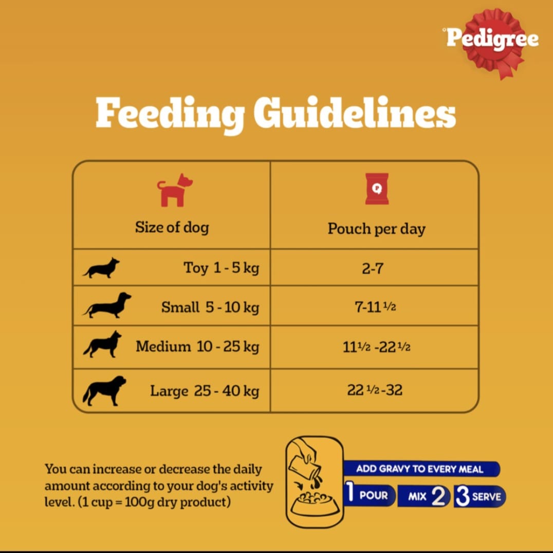 Pedigree Roasted Lamb Flavour Chunks in Gravy Wet Food for Adult Dogs