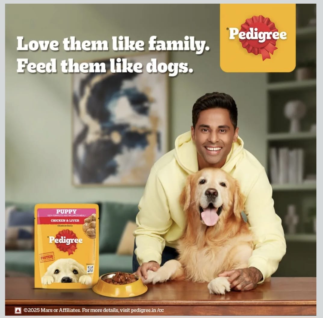 Pedigree Chicken & Liver Chunks in Gravy Wet Food for Puppy Dogs