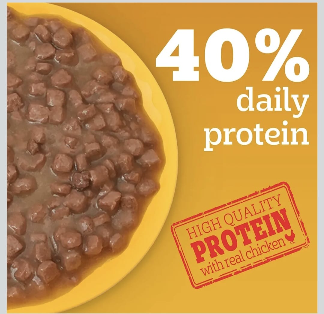 Pedigree Chicken & Liver Chunks in Gravy Wet Food for Puppy Dogs