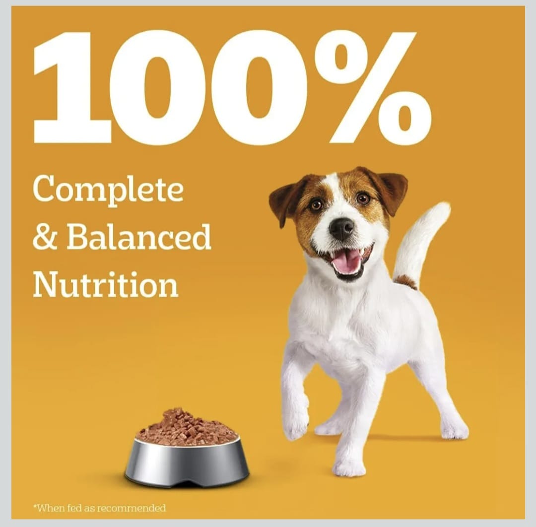 Pedigree Chicken & Liver Chunks in Gravy Wet Food for Puppy Dogs