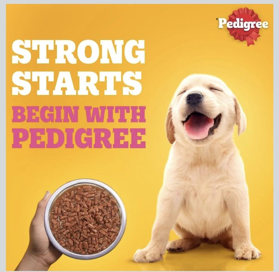 Pedigree Chicken & Liver Chunks in Gravy Wet Food for Puppy Dogs