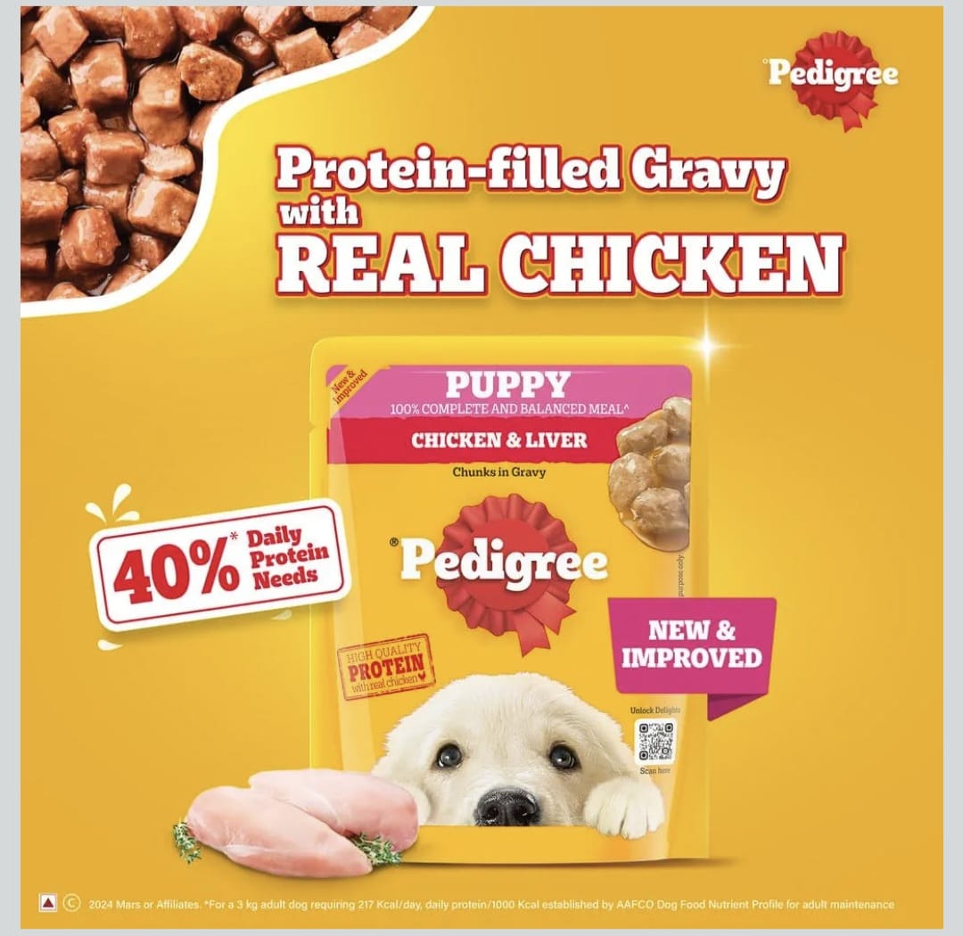 Pedigree Chicken & Liver Chunks in Gravy Wet Food for Puppy Dogs