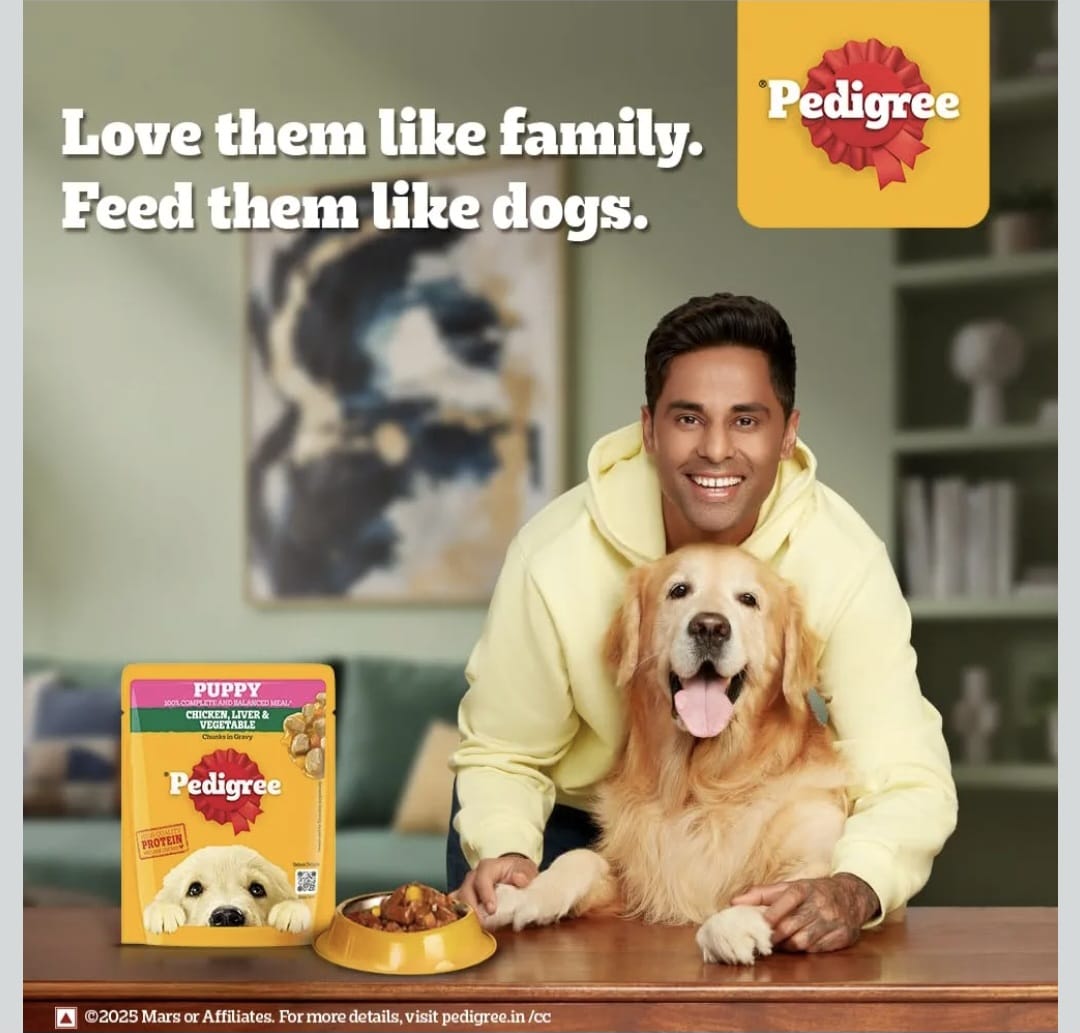 Pedigree Chicken Liver & Vegetable Chunks in Gravy Wet Food for Puppy Dogs