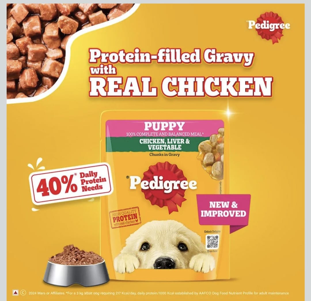 Pedigree Chicken Liver & Vegetable Chunks in Gravy Wet Food for Puppy Dogs