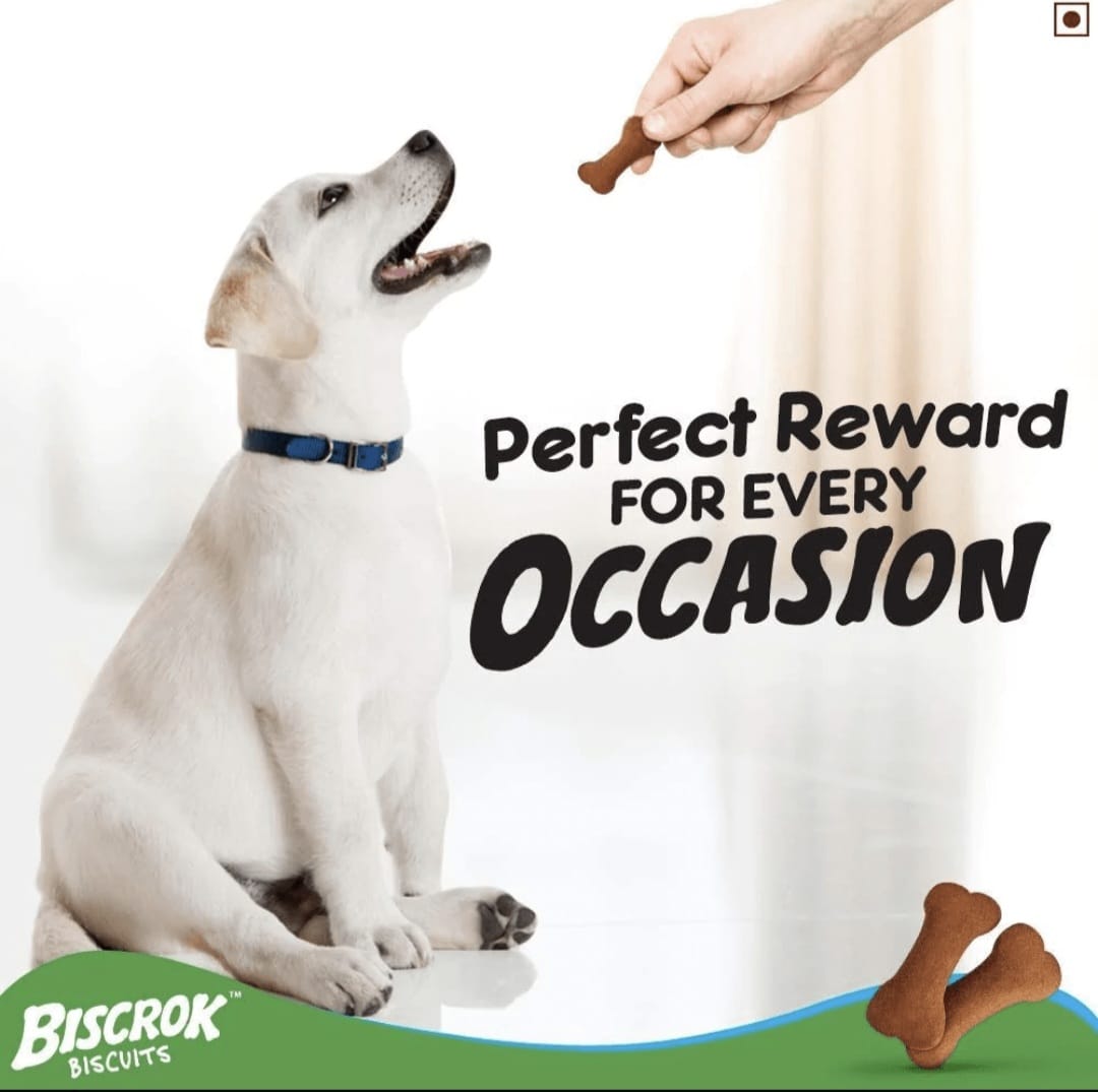 Pedigree Chicken Flavour Biscrok Biscuits for Dogs(500gm)