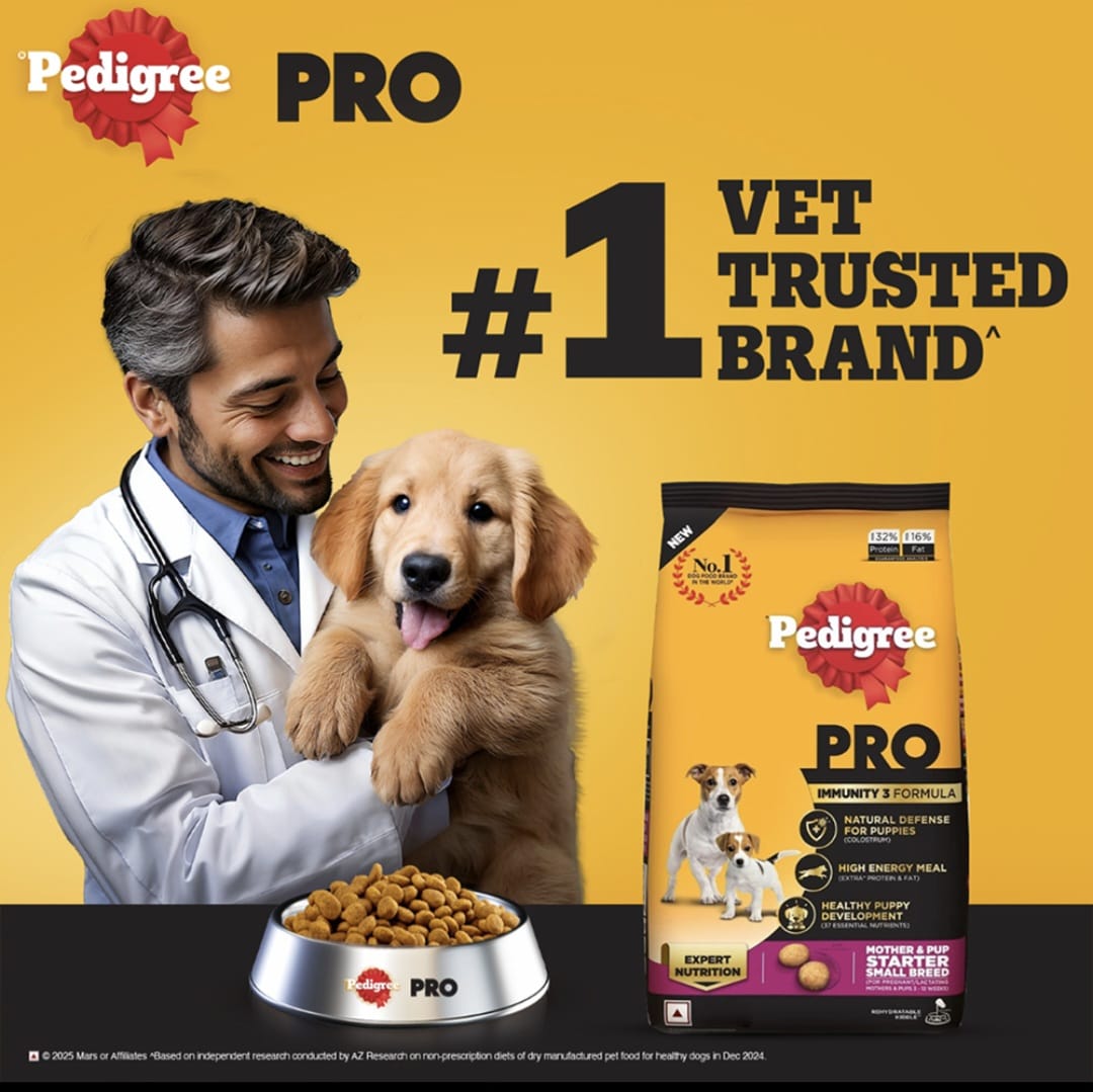 Pedigree Pro Mother & Pup Starter Small Breed Dog Dry Food