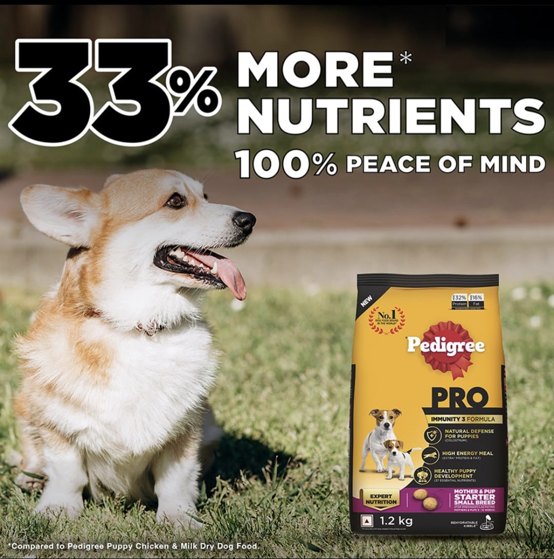 Pedigree Pro Mother & Pup Starter Small Breed Dog Dry Food