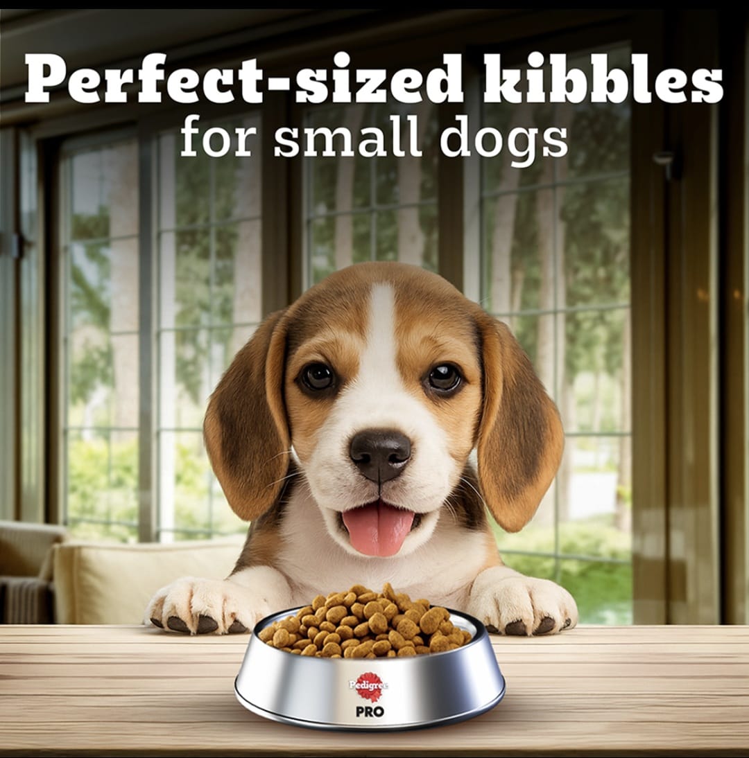 Pedigree Pro Mother & Pup Starter Small Breed Dog Dry Food