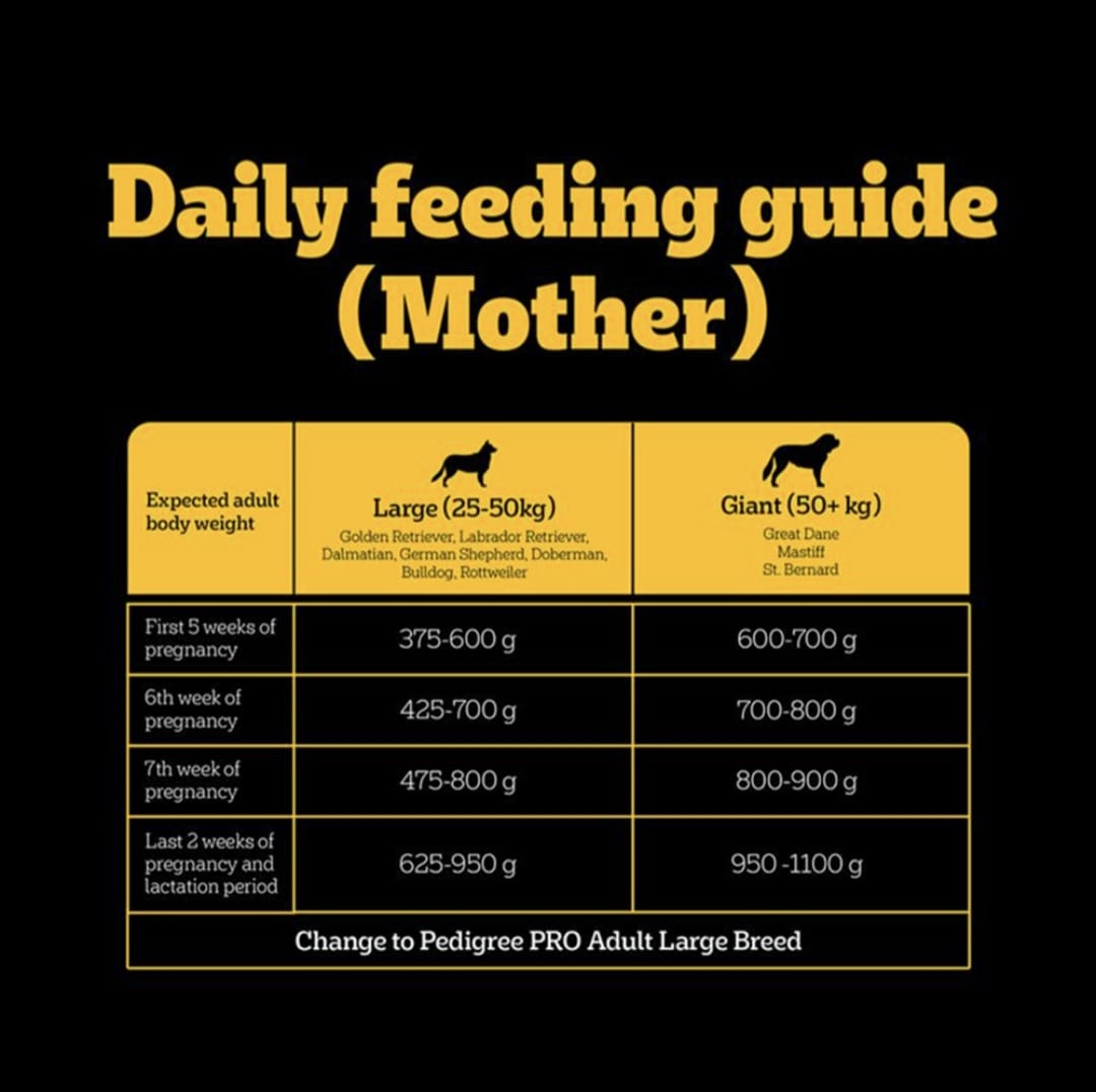 Pedigree Pro Mother & Pup Starter Small Breed Dog Dry Food