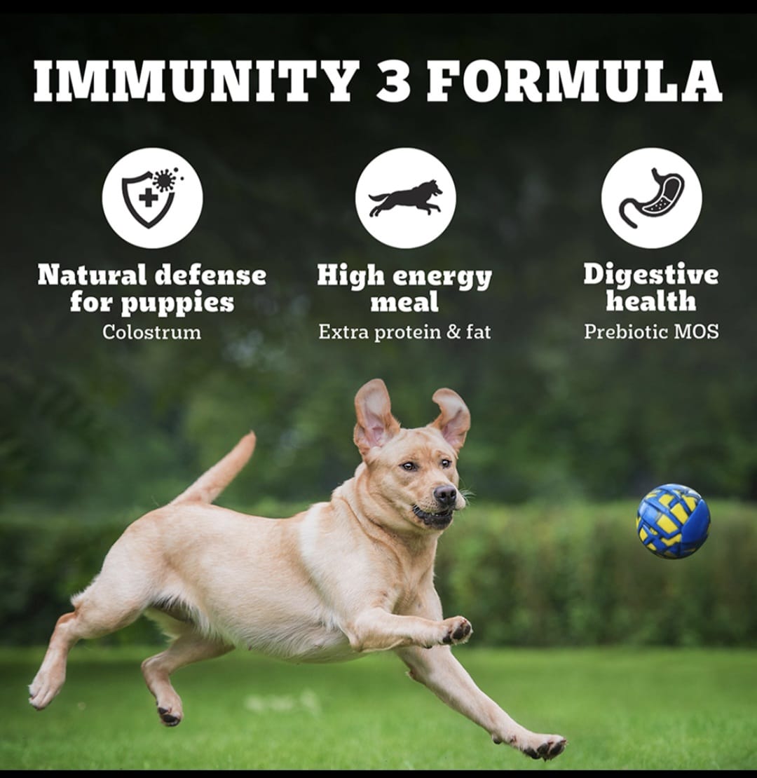 Pedigree Pro Mother & Pup Starter Large Breed Dog Dry Food