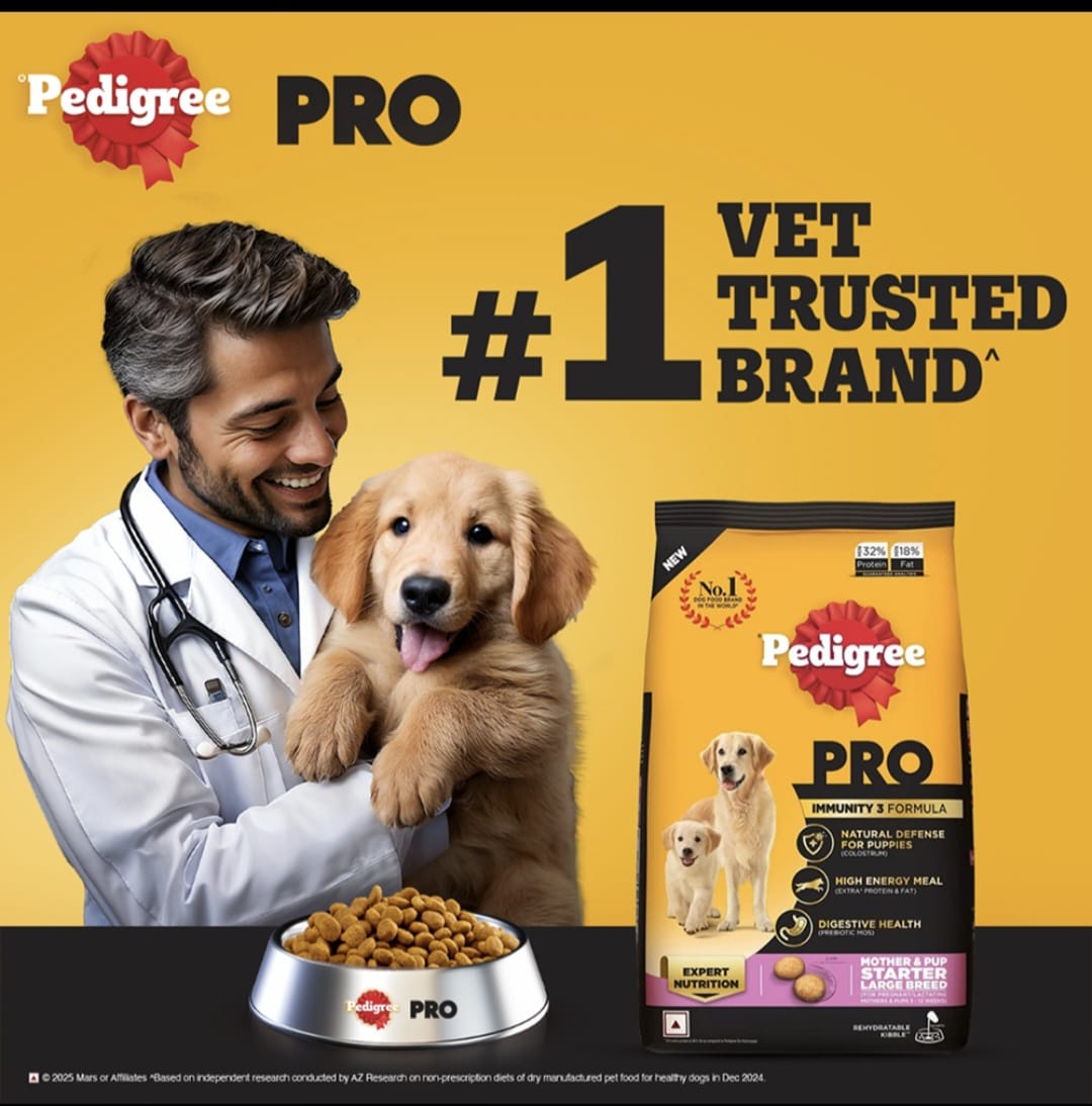 Pedigree Pro Mother & Pup Starter Large Breed Dog Dry Food