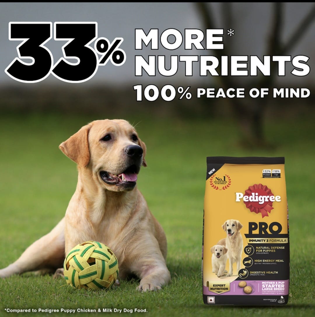 Pedigree Pro Mother & Pup Starter Large Breed Dog Dry Food