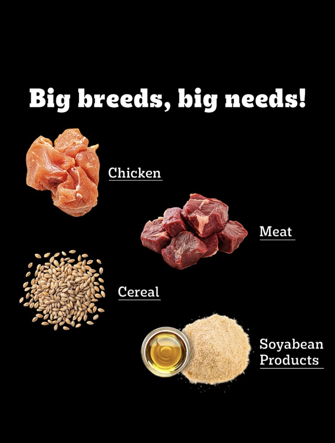 Pedigree Pro Mother & Pup Starter Large Breed Dog Dry Food