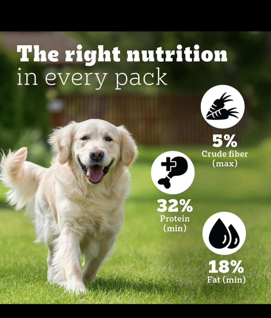 Pedigree Pro Mother & Pup Starter Large Breed Dog Dry Food